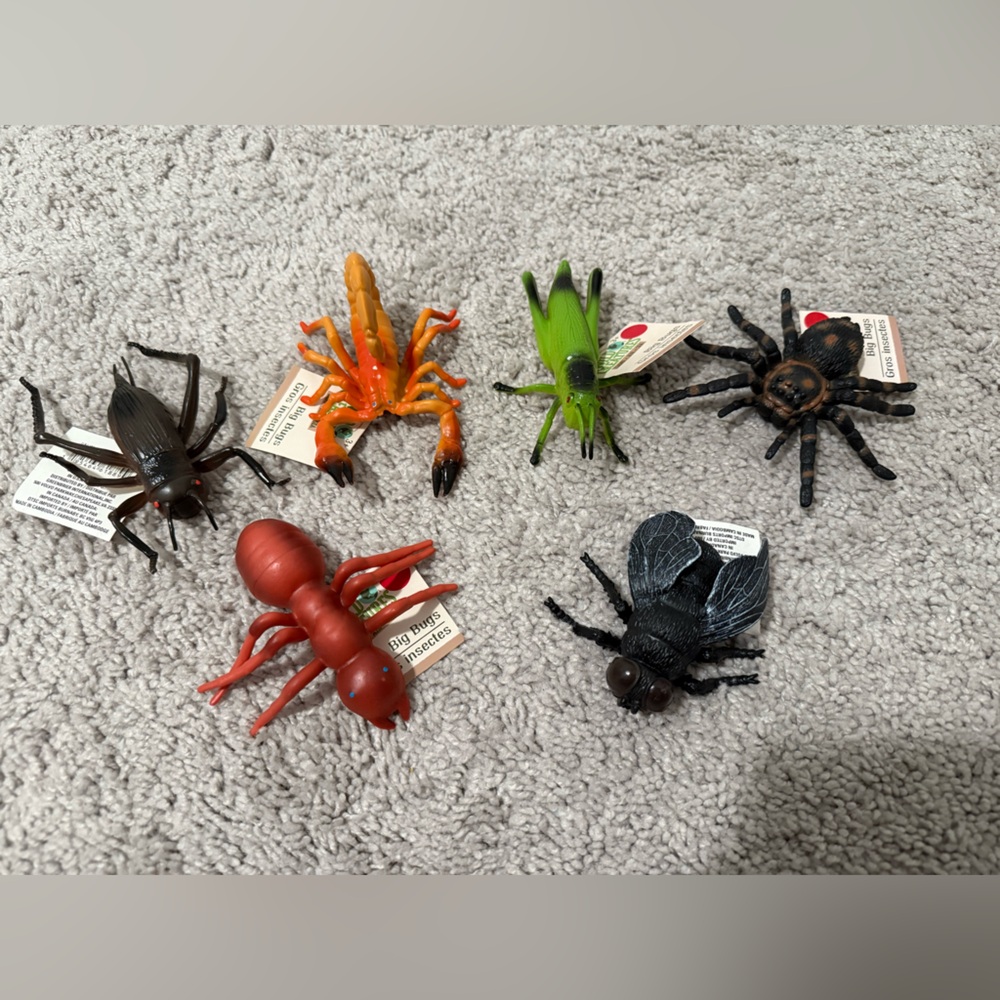 Set of 6 big bugs.
